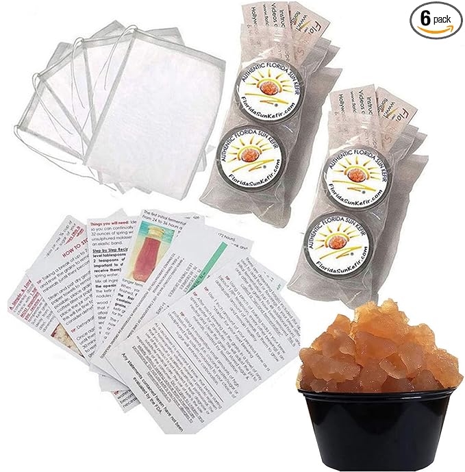 (4) PORTION Cups of Live Florida Sun Kefir Water Kefir Grains Natural Probiotics (6) SIX BREWING BAGS INCLUDED